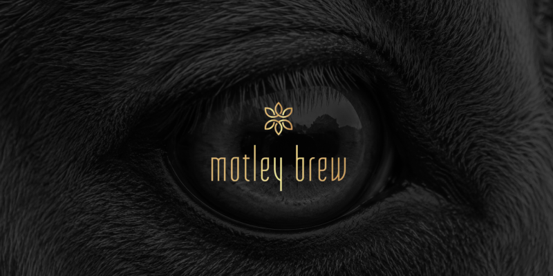 Motley Brew